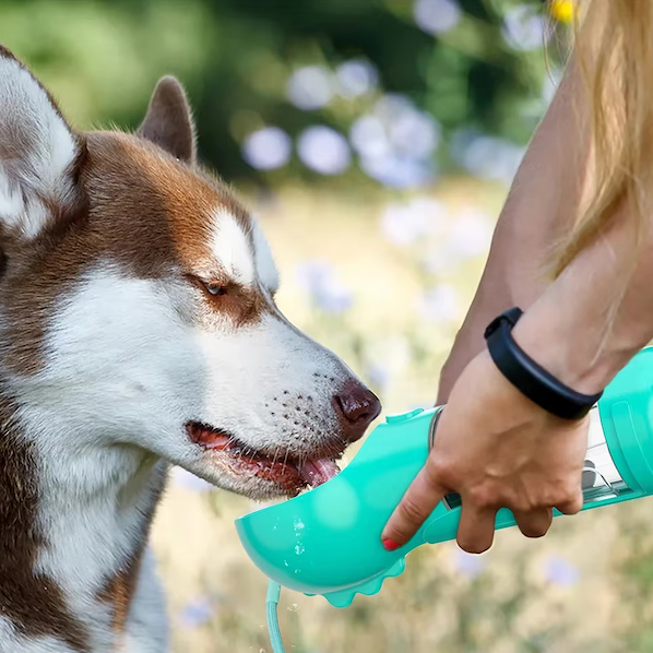 4-in-1 Flasche zur Hydration und Ernährung Ihres Hundes