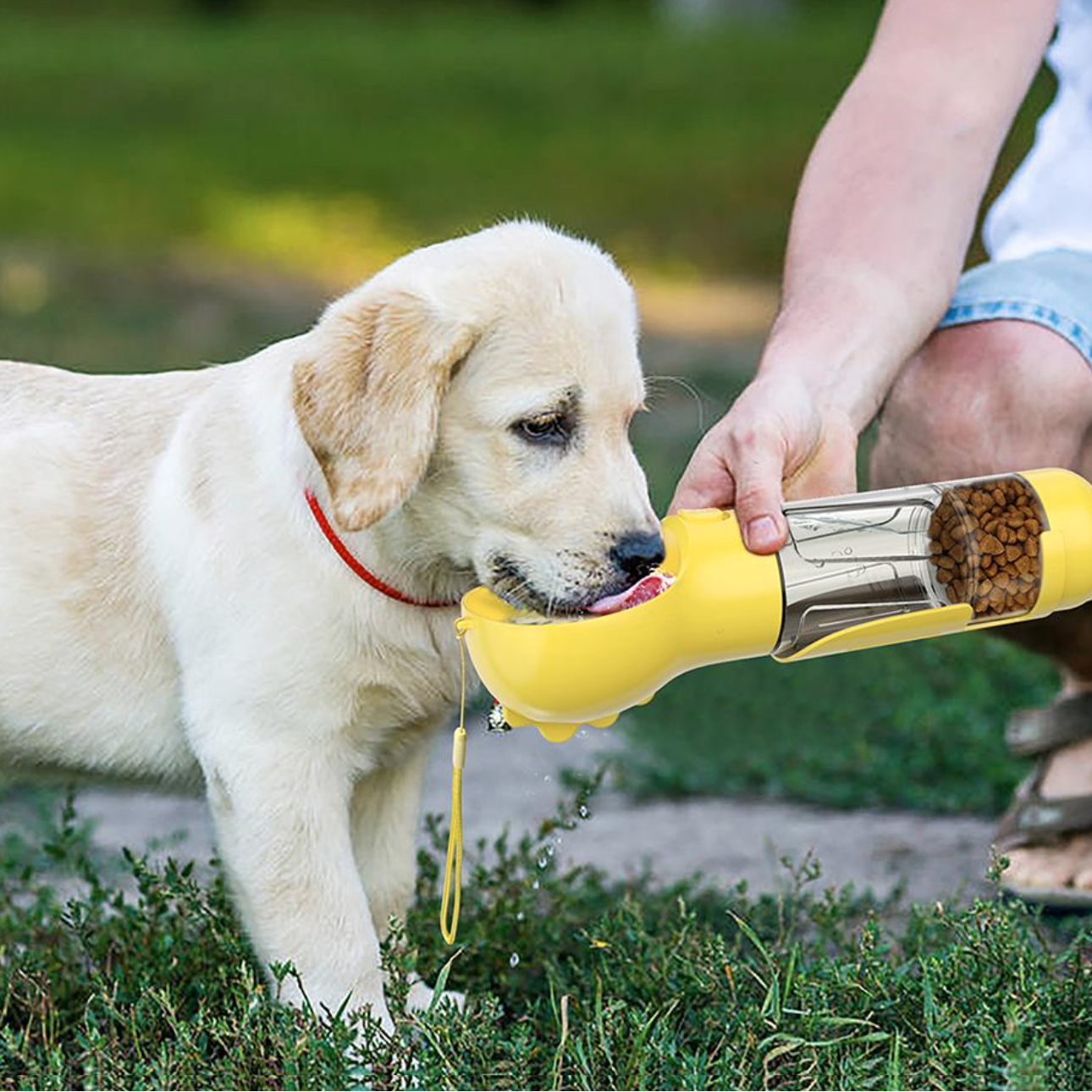 4-in-1 fles om uw hond te hydrateren en te voeden 